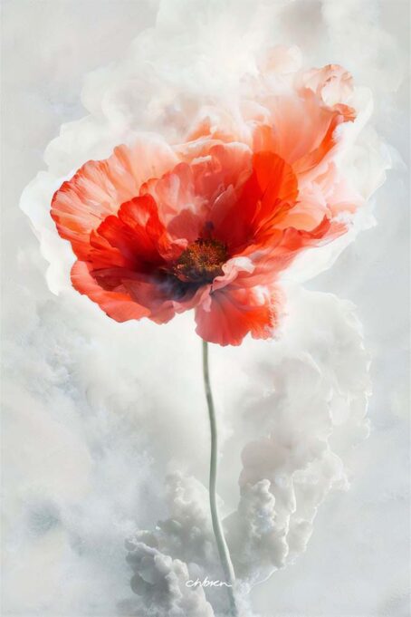 Red poppy flower surrounded by streams of white smoke.