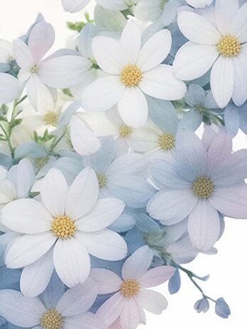 White and Blue Flower Heart Photo