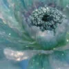 Serene Blue Anemone Glass Flower - Image 2
