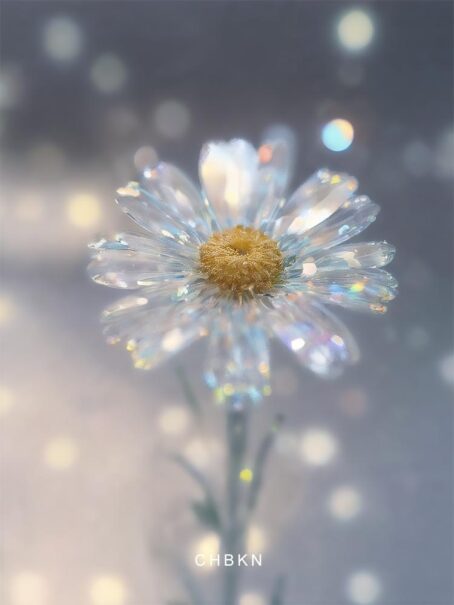 White jewel daisy with sparkling petals, symbolizing purity.