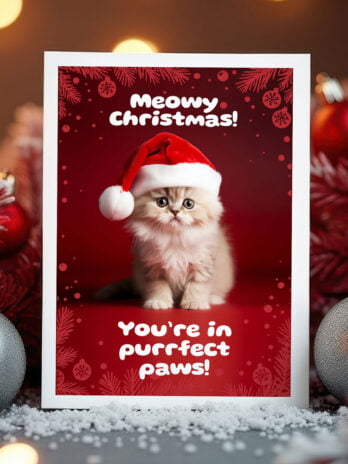 Cute Kitten in Santa Hat – Christmas Cheer