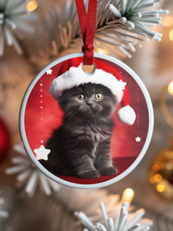 Grey Kitten in Santa Hat – Christmas Spirit