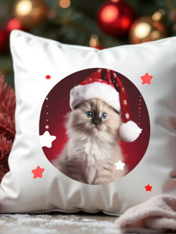 Kitten in Red Santa Hat – Festive Fun